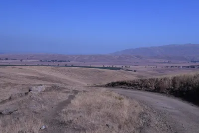 DSC_2167 (Large).JPG